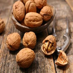 walnut