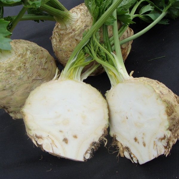 celeriac